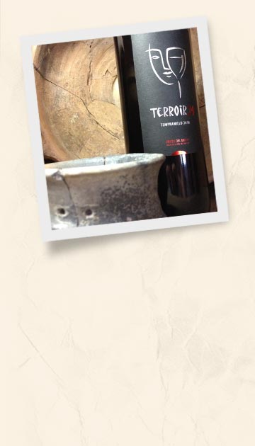 Red Terroir34 bottle
